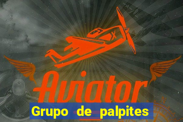 Grupo de palpites de futebol gratis